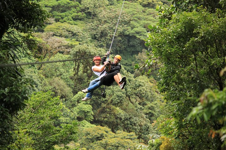 Rainforest Canopy Zipline & Hanging Bridges Tour From Monteverde - Photo 1 of 8